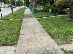 Olivia v.'s Grass Cutting service result