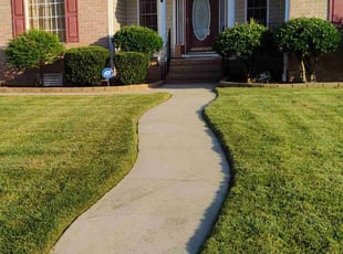 Brenda E.'s Yard Cutting service result