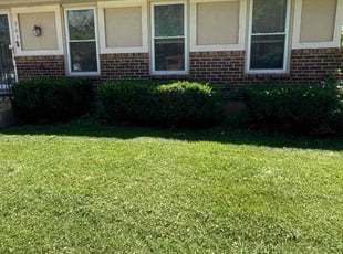 Bush Trimming by Jacob Russi for Alaina R. in Lee's Summit, MO