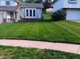 Toni E.'s Lawn Service service result