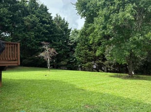 Kevin C.'s Lawn Mowing service result