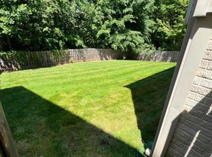 Mark M.'s Lawn Service service result