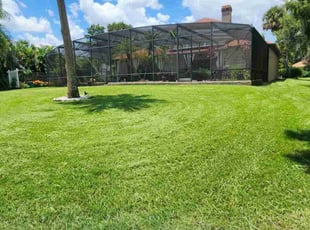 Ron B.'s Lawn Maintenance service result
