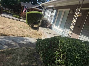 Bush Trimming by Juan Rodriguez for Brittany C. in Sacramento, CA