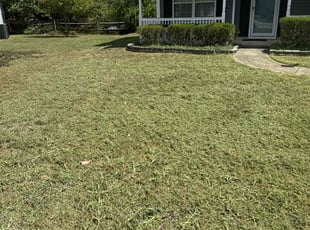 Michael B.'s Lawn Care service result