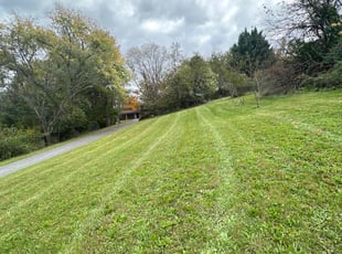 Anthony W.'s Lawn Service service result