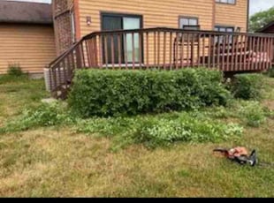 Bush Trimming by Josh Brockett for Michael F. in Liverpool, NY