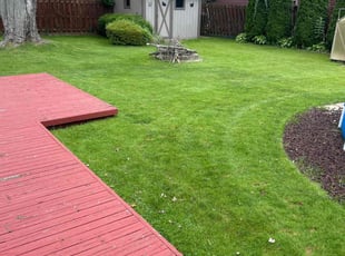 Jessica M.'s Lawn Mowing service result
