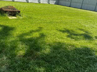Leye A.'s Lawn Care service result