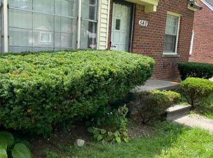 Bush Trimming by Josef Lakkis for Brandon h. in Inkster, MI