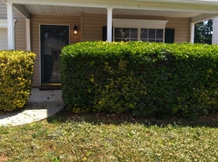 Bush Trimming by Eric Witherspoon for Amanda C. in Charlotte, NC
