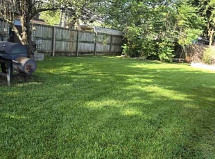 Christie B.'s Lawn Service service result