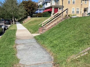 Edna R.'s Lawn Service service result
