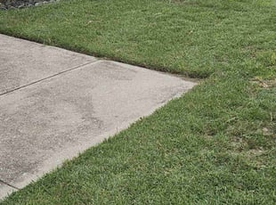 Stacy S.'s Yard Cutting service result