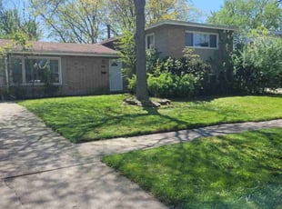 Kevin L.'s Grass Cutting service result