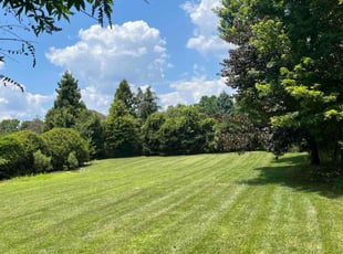 Mike P.'s Lawn Service service result