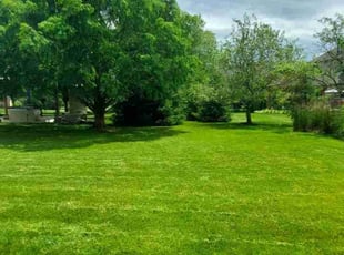 Dave T.'s Lawn Care service result