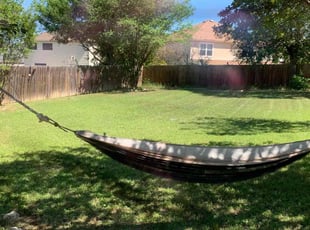 Leon S.'s Lawn Mowing service result