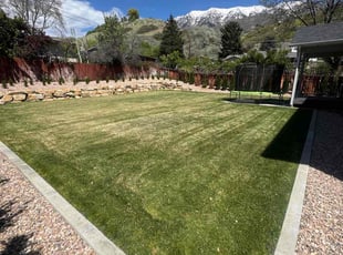 Linda R.'s Lawn Mowing Service service result