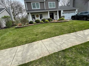 Craig A.'s Lawn Mowing service result