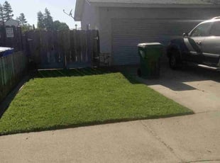 Zhetta T.'s Lawn Maintenance service result