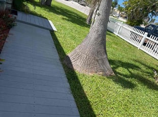 Natalia S.'s Lawn Care service result