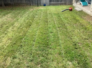 Doug L.'s Lawn Service service result