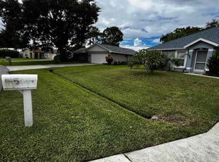 Boston F.'s Lawn Mowing Service service result
