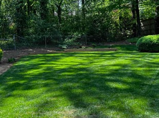 Melissa H.'s Lawn Maintenance service result