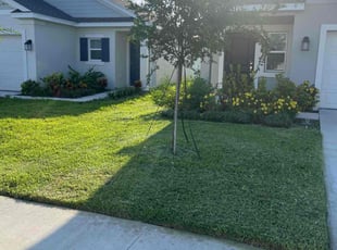 Lynne B.'s Lawn Service service result