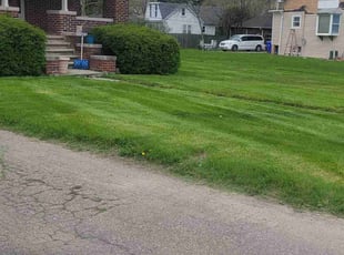 Frances s.'s Lawn Mowing service result