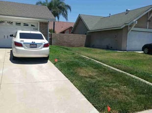 Bush Trimming by Brenden Henderson for Michael B. in Riverside, CA