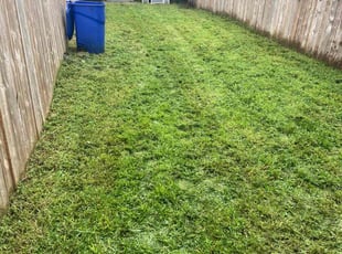 John H.'s Lawn Mowing service result