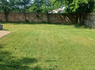 Allegra F.'s Lawn Service service result