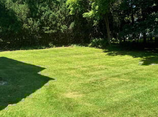 paige m.'s Lawn Maintenance service result