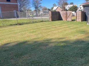 Carey W.'s Grass Cutting service result
