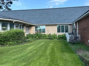 Tamra C.'s Lawn Care service result