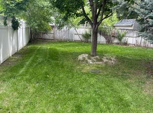 Brad H.'s Lawn Care service result