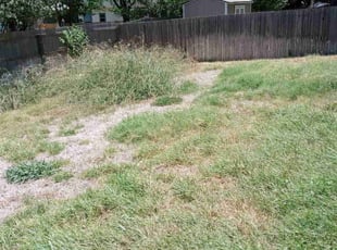 Cleanups by Jason Westgor for Adeline B. in Helotes, TX