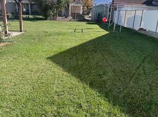 Sadikin B.'s Lawn Mowing service result