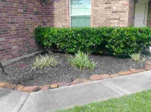Landscaping by Yanet Maciel for Stephanie L. in Manvel, TX