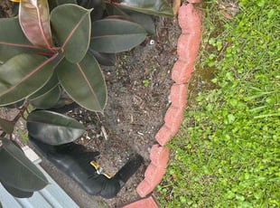 Weeding by Shaun Waters for Nana H. in Ponte Vedra Beach, FL
