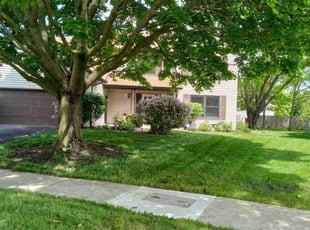 Debra B.'s Grass Cutting service result