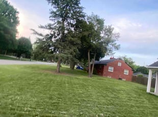 Dan C.'s Lawn Mowing service result