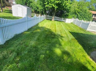 Troy B.'s Lawn Mowing service result