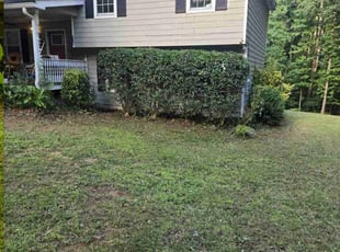 Bush Trimming by Crystal Murillo for Mary B. in Covington, GA