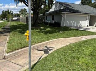 Miosotis R.'s Yard Cutting service result