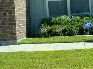 Bush Trimming by Carl George for Mary A. in Baton Rouge, LA