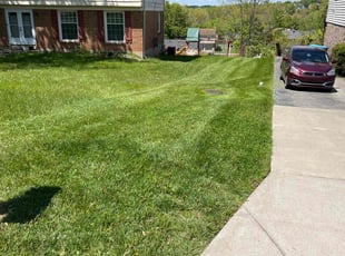 Kyle L.'s Grass Cutting service result