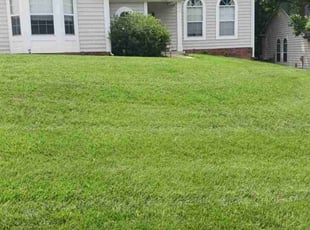 Jay R.'s Lawn Mowing service result